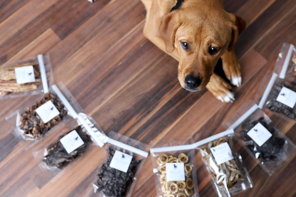 Lucky Dog Company | 413 Davidson St, Winnipeg, MB R3J 2V2, Canada | Phone: (204) 226-2675