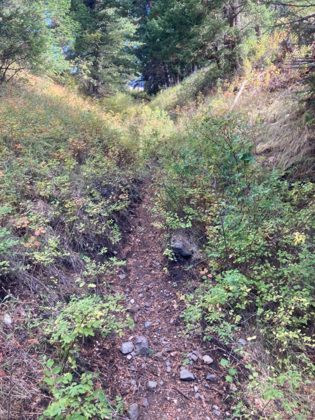Godey Creek Hiking Trails Rec Site | Hamilton Hill Rd, Merritt, BC V1K 0B2, Canada | Phone: (604) 819-8825