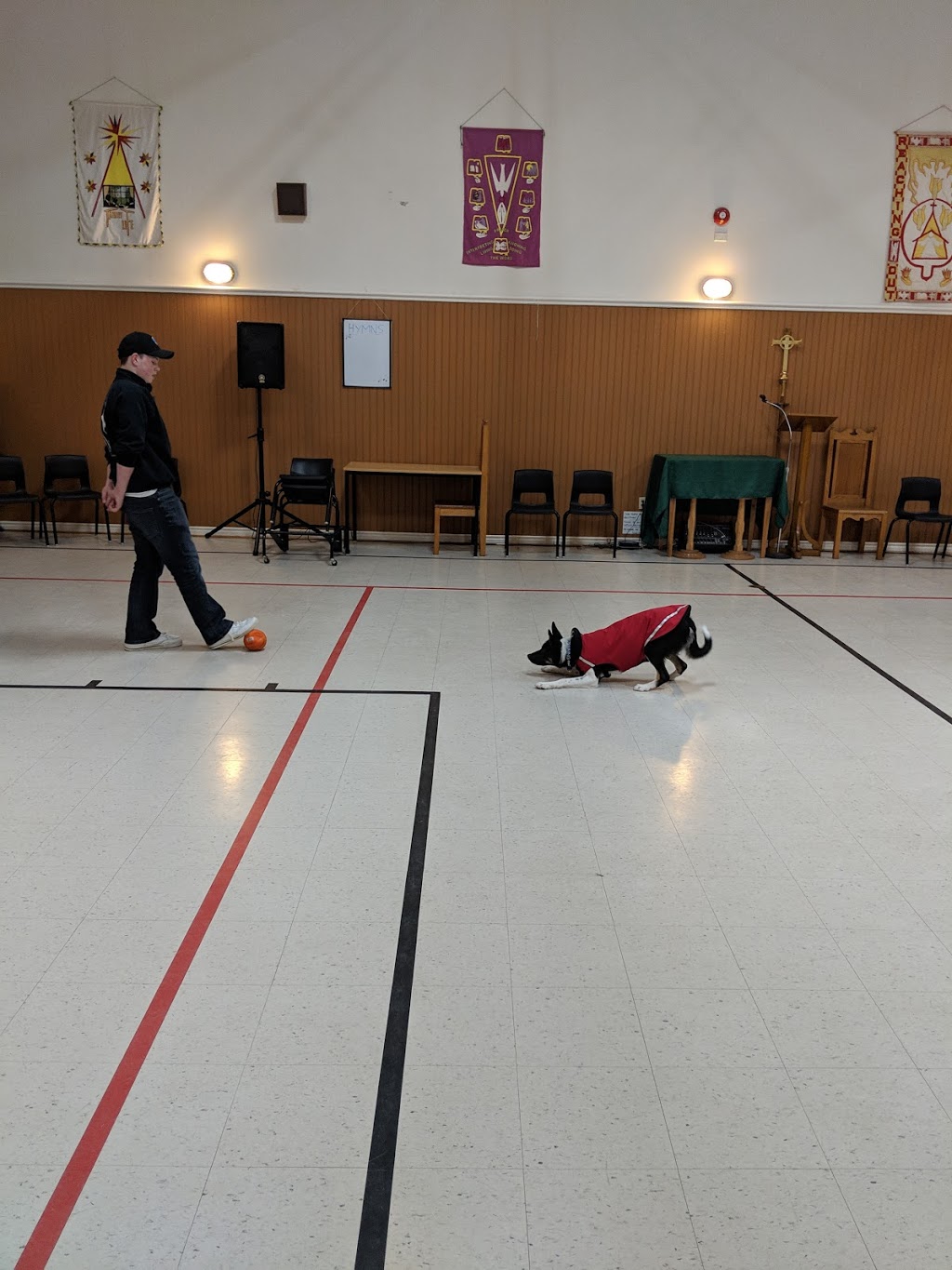 Holy Trinity Anglican Church | 78 Alexandra Ave, Bridgewater, NS B4V 1H1, Canada | Phone: (902) 543-3440