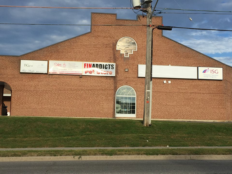 Samatva Yoga | 836 Gardiners Rd, Kingston, ON K7M 3X9, Canada | Phone: (613) 384-6463