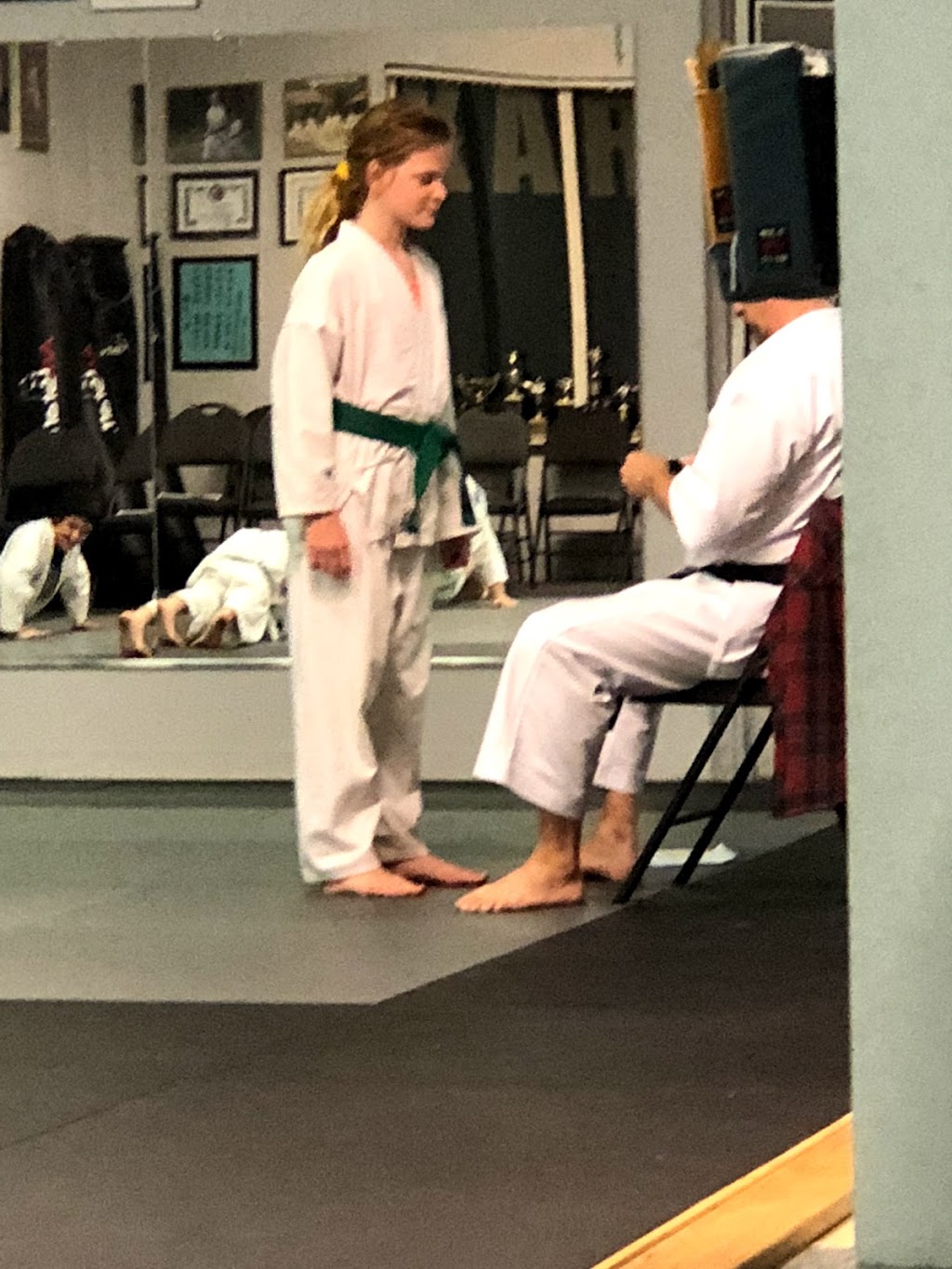 The KARATE Dojo | 211 Mill St, Angus, ON L0M 1B2, Canada | Phone: (705) 321-9177