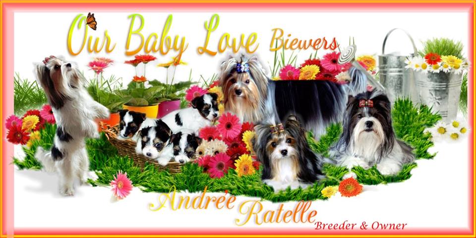 Our Baby Love Biewers | 3655 4e Rang, Saint-Lucien, QC J0C 1N0, Canada | Phone: (819) 781-0255