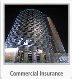 A-Plus Insurance | 1912 26a St SW, Calgary, AB T3E 2B7, Canada | Phone: (403) 452-3957