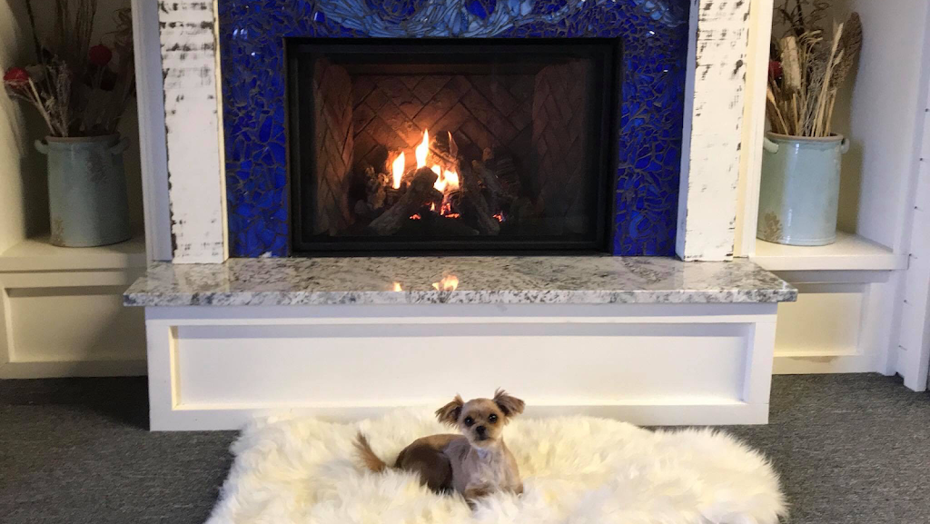 Safe Home Fireplace | 2295 Wharncliffe Rd S #8, London, ON N6P 1S7, Canada | Phone: (519) 652-7080