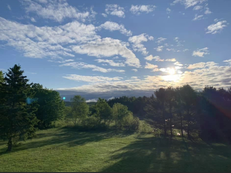 Odorizzi Acres | 1284 Garage Rd, Burks Falls, ON P0A 1C0, Canada | Phone: (705) 571-7225