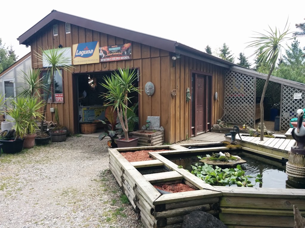 Thorndale Nature Ponds Water Gardens | store | 21692 Cherry Hill Rd, Thorndale, ON N0M 2P0, Canada | 5194611998 OR +1 519-461-1998