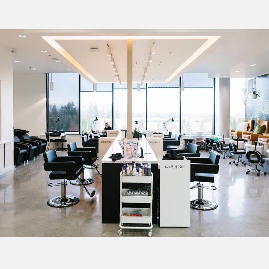 Leana Brown Hair Artist | 19951 80a Ave, Langley City, BC V2Y 0E2, Canada | Phone: (604) 401-9885