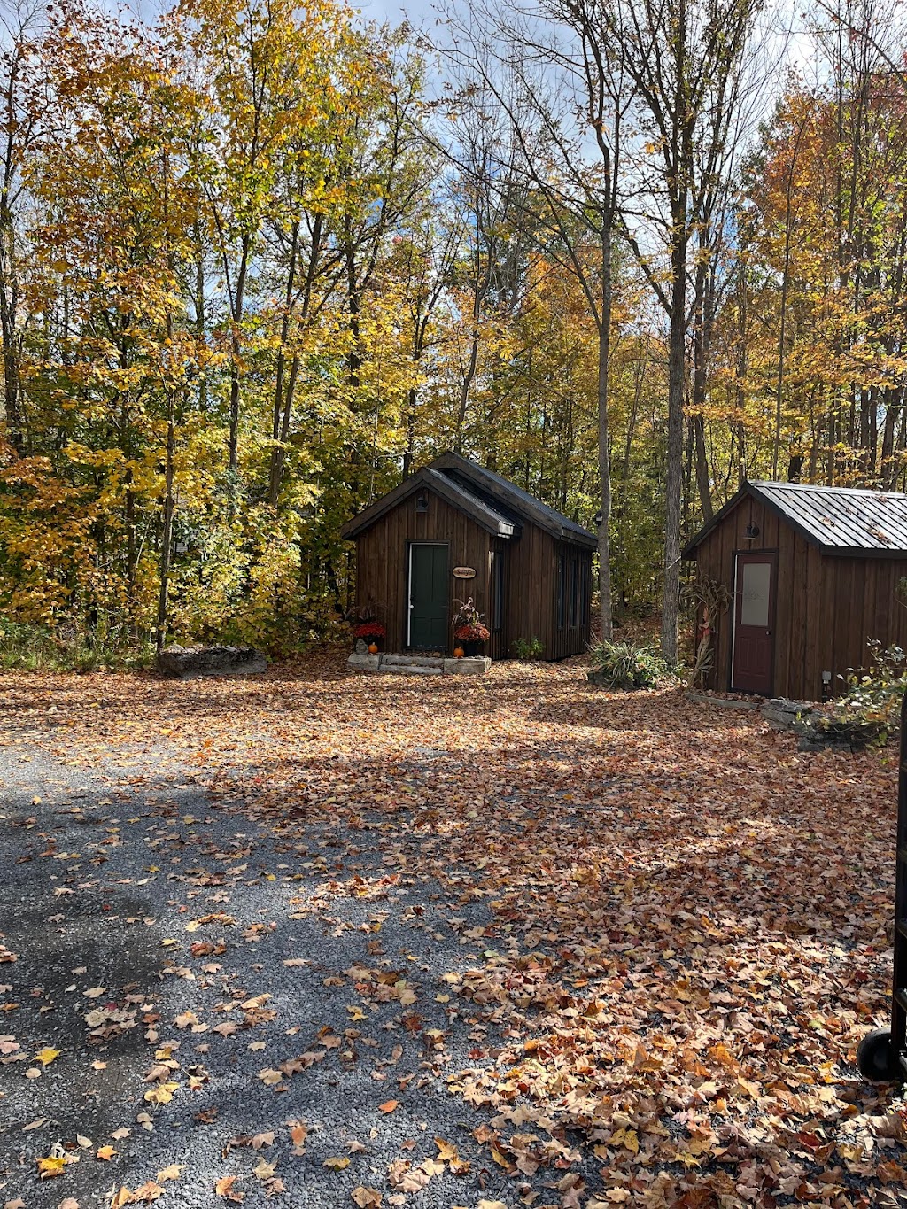 Holistic Counsellor Amy Di Marino | 1102 Salem Rd, Stirling-Rawdon, ON K0K 3E0, Canada | Phone: (647) 802-4338