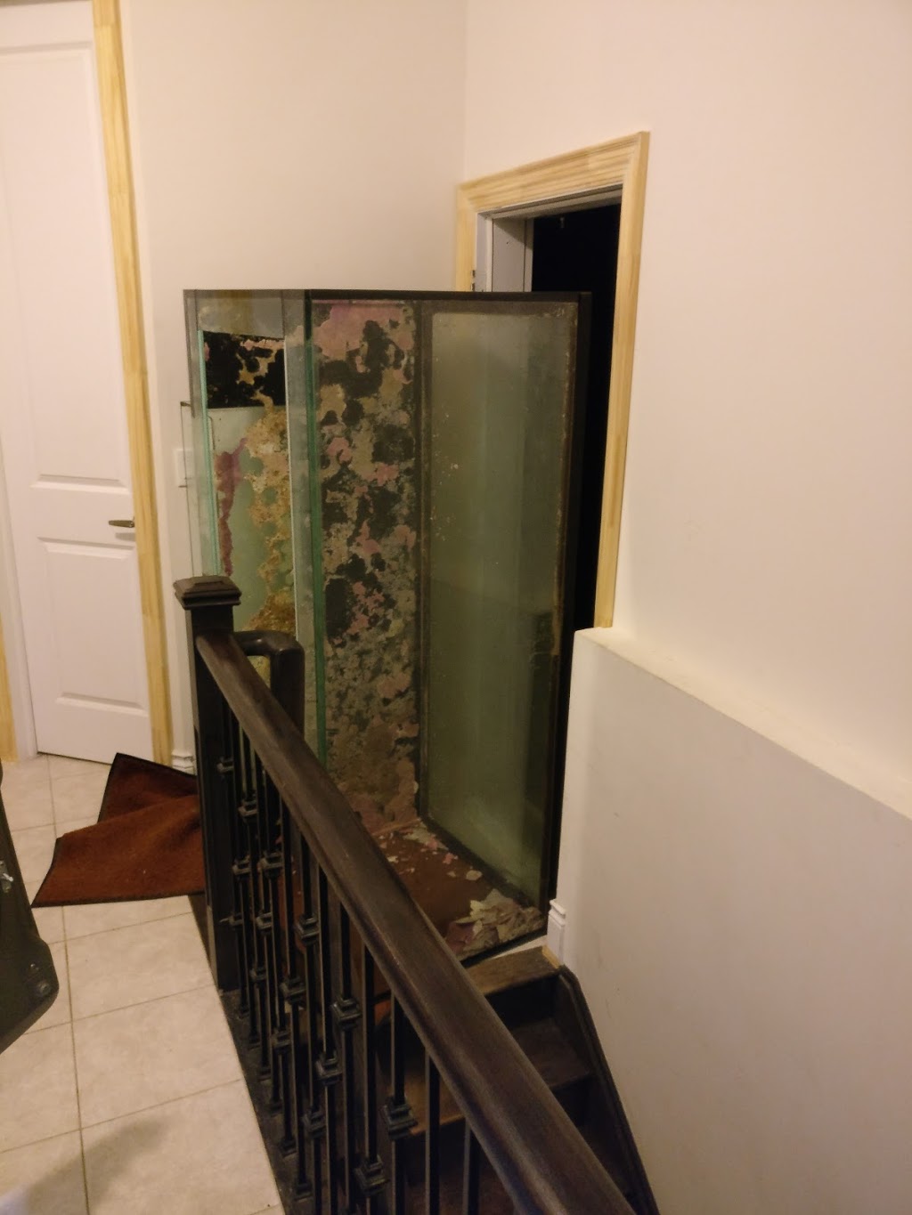Miracles Aquariums | 26 French Dr, Mono, ON L9W 5W1, Canada | Phone: (519) 941-8265