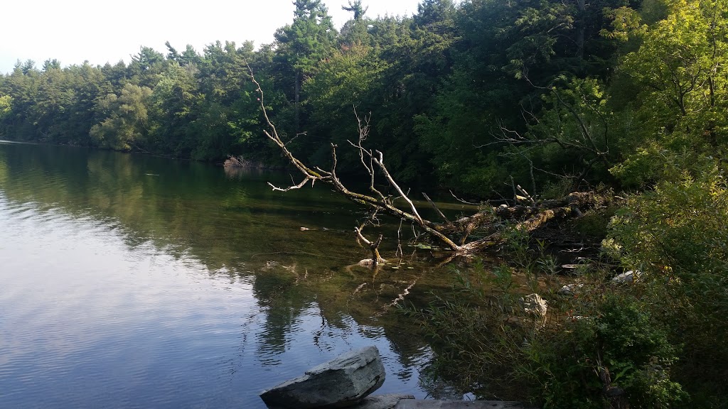 Oak Ridges Trail | Oak Ridges Trail, Richmond Hill, ON L4E 1A4, Canada | Phone: (416) 661-6600