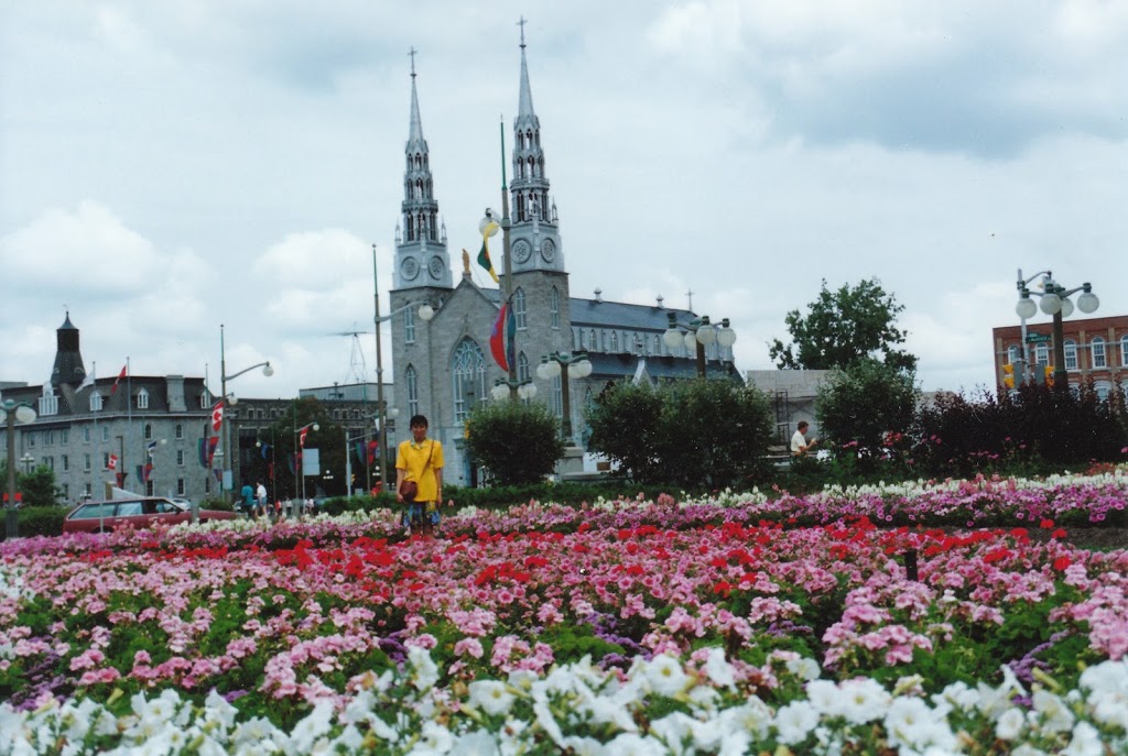 Notre-Dame Cathedral Basilica | church | 385 Sussex Dr, Ottawa, ON K1N 5J9, Canada