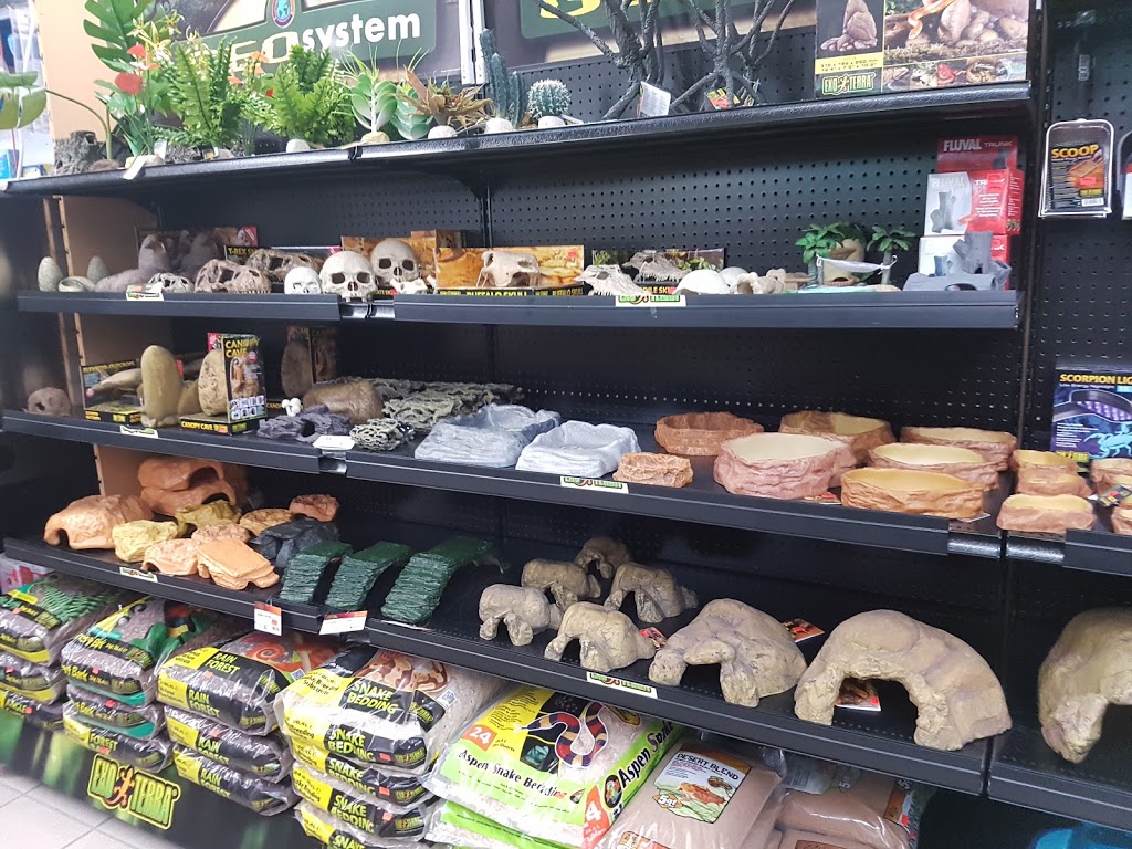 Animalerie Dyno | 79-A Rte du Président Kennedy, Lévis, QC G6V 6C8, Canada | Phone: (418) 833-2550
