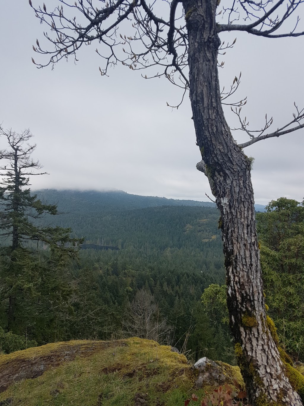 Lone Tree Hill | 1450 Millstream Rd, Victoria, BC V9B 6G1, Canada