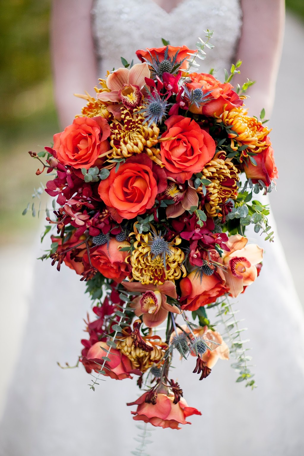 The Wild Garden | 14 Cameron St E, Cannington, ON L0E 1E0, Canada | Phone: (705) 432-3340