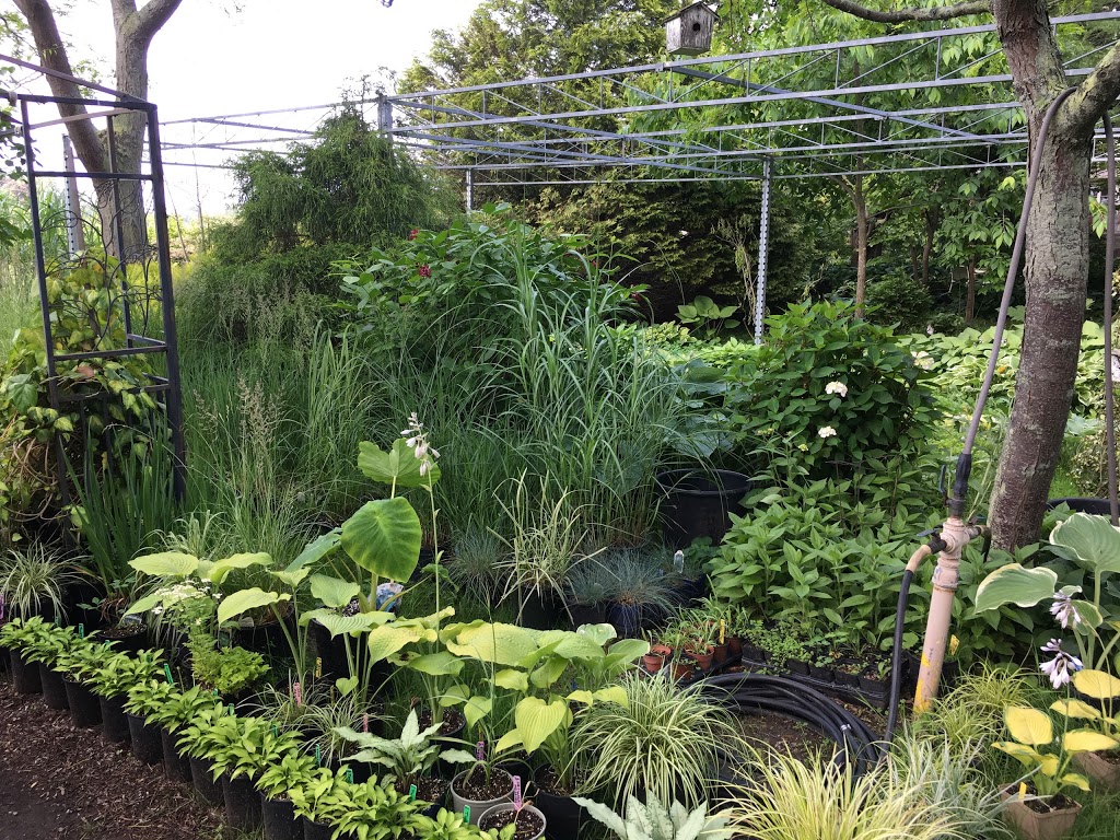 Olde Towne Gardens | 716 Lakeshore Rd, Niagara-on-the-Lake, ON L0S 1J0, Canada | Phone: (905) 937-6758