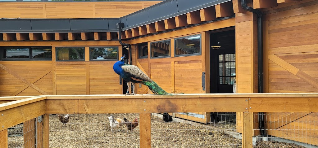 Valley Zoo Development Society | 13315 Buena Vista Rd NW, Edmonton, AB T5R 3G4, Canada | Phone: (780) 496-6924