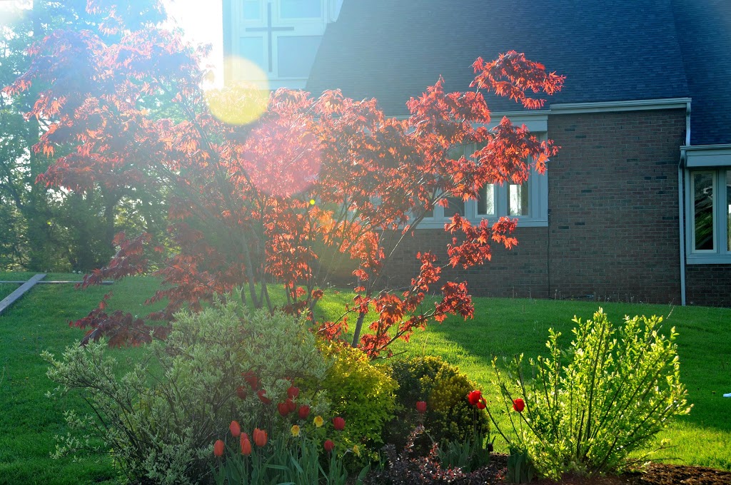 Meadowvale Community Church | 2630 Inlake Ct, Mississauga, ON L5N 2A7, Canada | Phone: (905) 826-5722