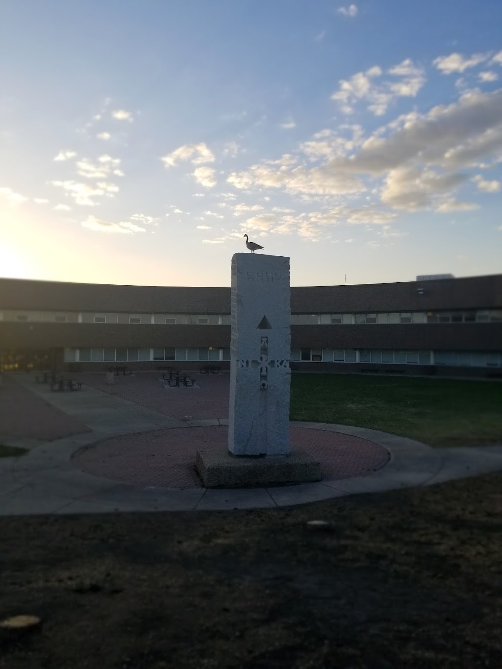 J. Percy Page High School | 2707 Mill Woods Rd NW, Edmonton, AB T6K 4A6, Canada | Phone: (780) 462-3322