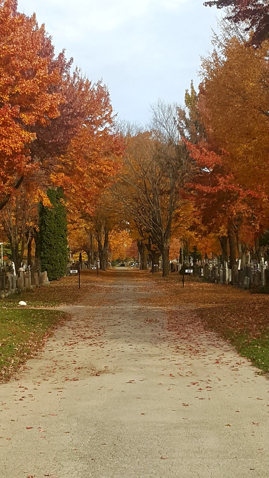 Notre-Dame Cemetery | 455 Montreal Rd, Ottawa, ON K1K 0V2, Canada | Phone: (613) 746-4175