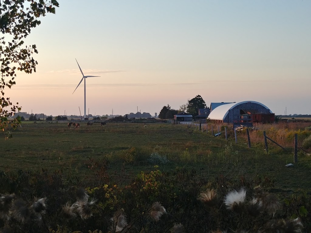 Beyond The Trail | 7186 9 Line, Chatham, ON N7M 5J6, Canada | Phone: (226) 626-0936