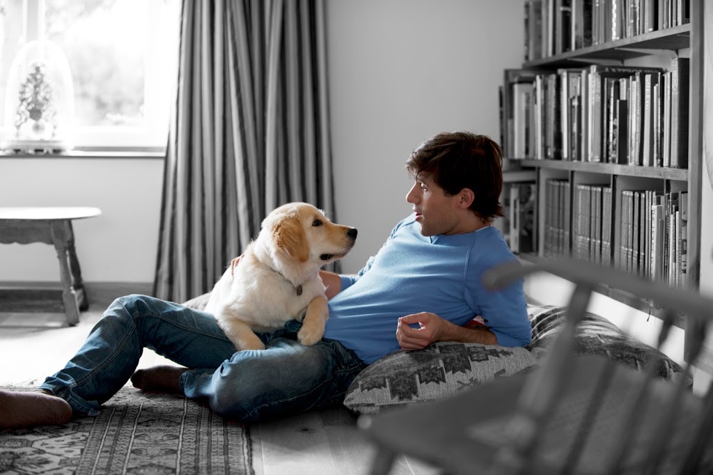VCA Canada Blueridge-Cove Animal Hospital | 165 Riverside Dr W, North Vancouver, BC V7H 1T6, Canada | Phone: (604) 929-3491
