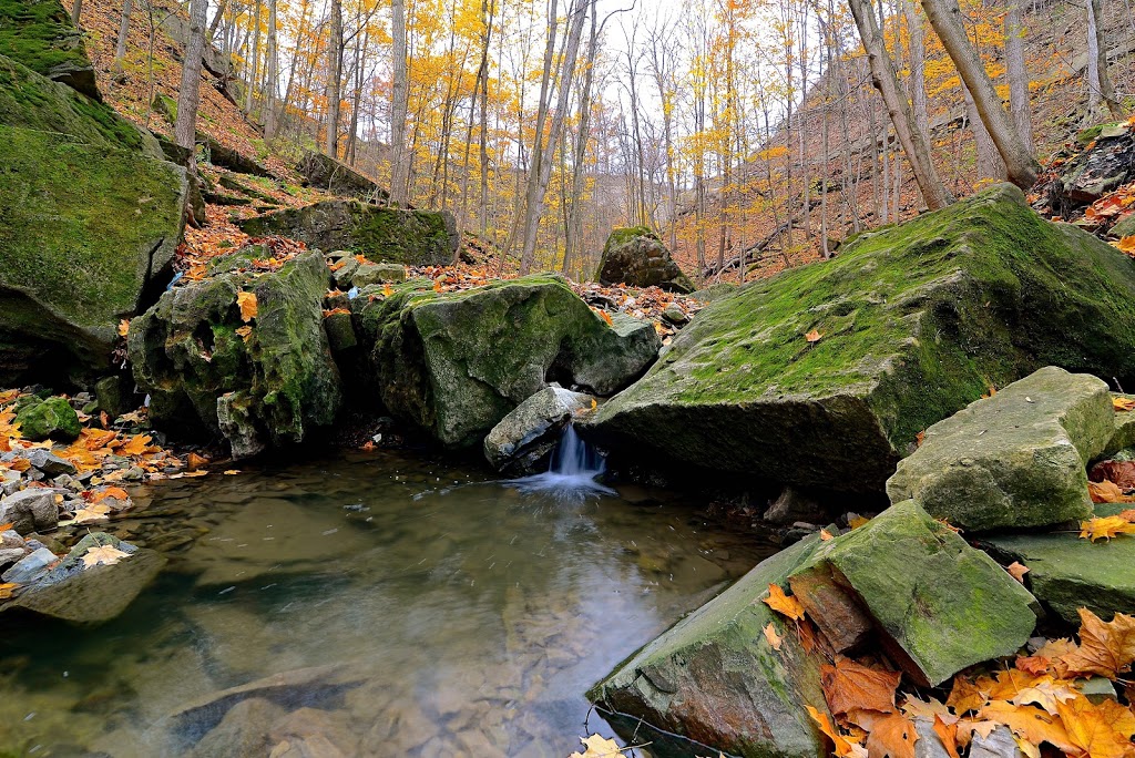 Buttermilk Falls | Mountain Brow Blvd, Hamilton, ON L8K 5C7, Canada | Phone: (289) 809-2463