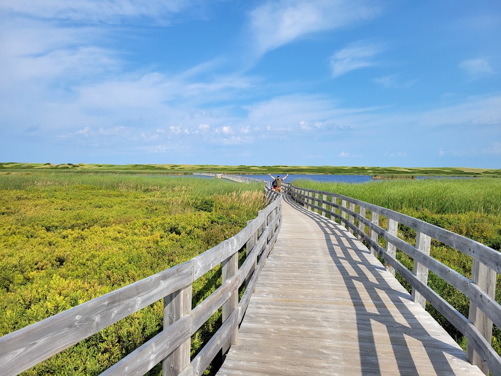 Greenwich Trailhead, Prince Edward Island National Park | 61 Greenwich Rd, Saint Peters Bay, PE C0A 2A0, Canada | Phone: (902) 672-6350