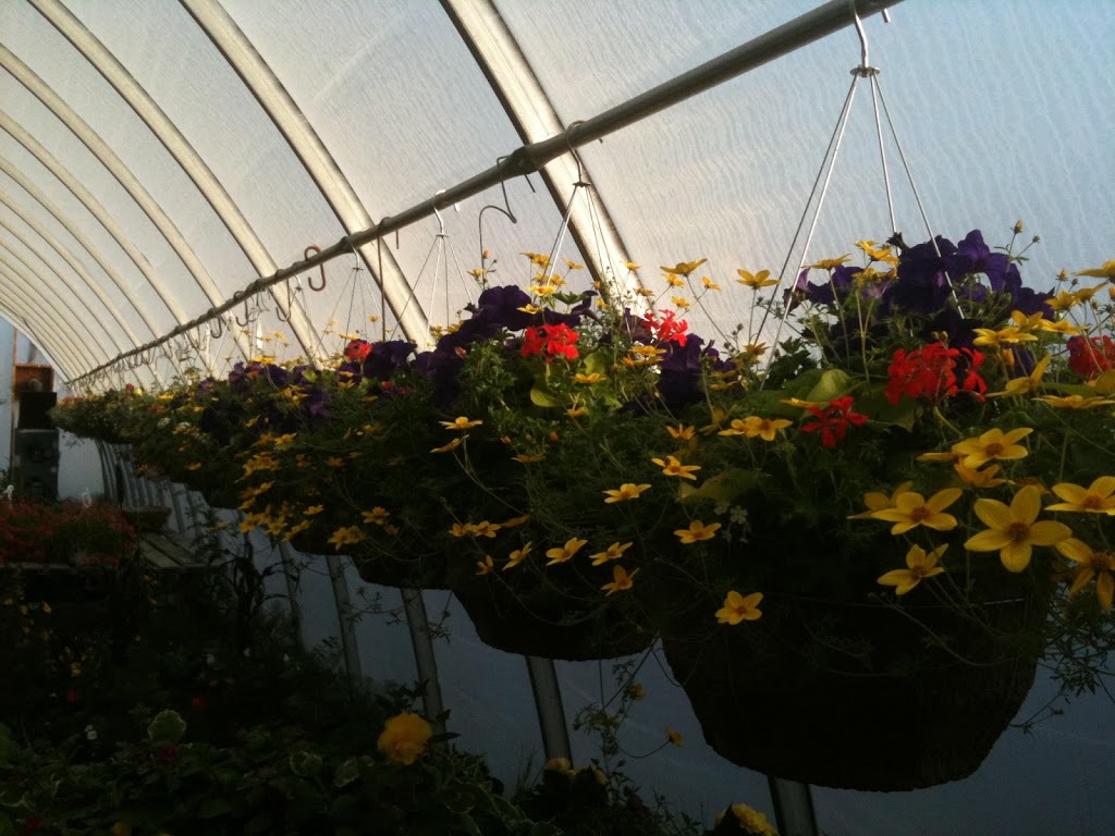 The Flower Shed | 12336 Nassagaweya–Esquesing Townline, Acton, ON L7J 2L7, Canada | Phone: (905) 580-0070