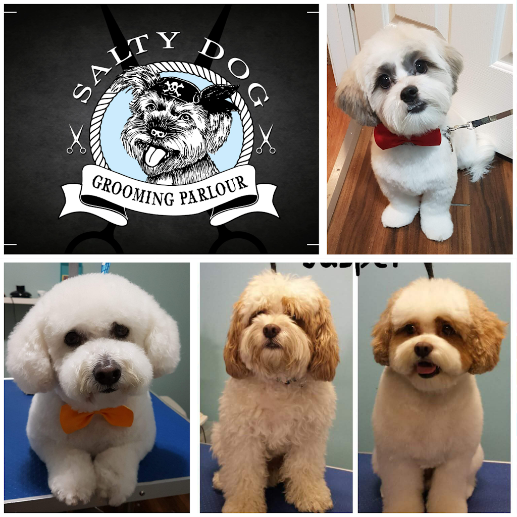 Salty Dog Grooming Parlour | point of interest | 1010 Keith Dr S, Gabriola, BC V0R 1X2, Canada | 2506160530 OR +1 250-616-0530
