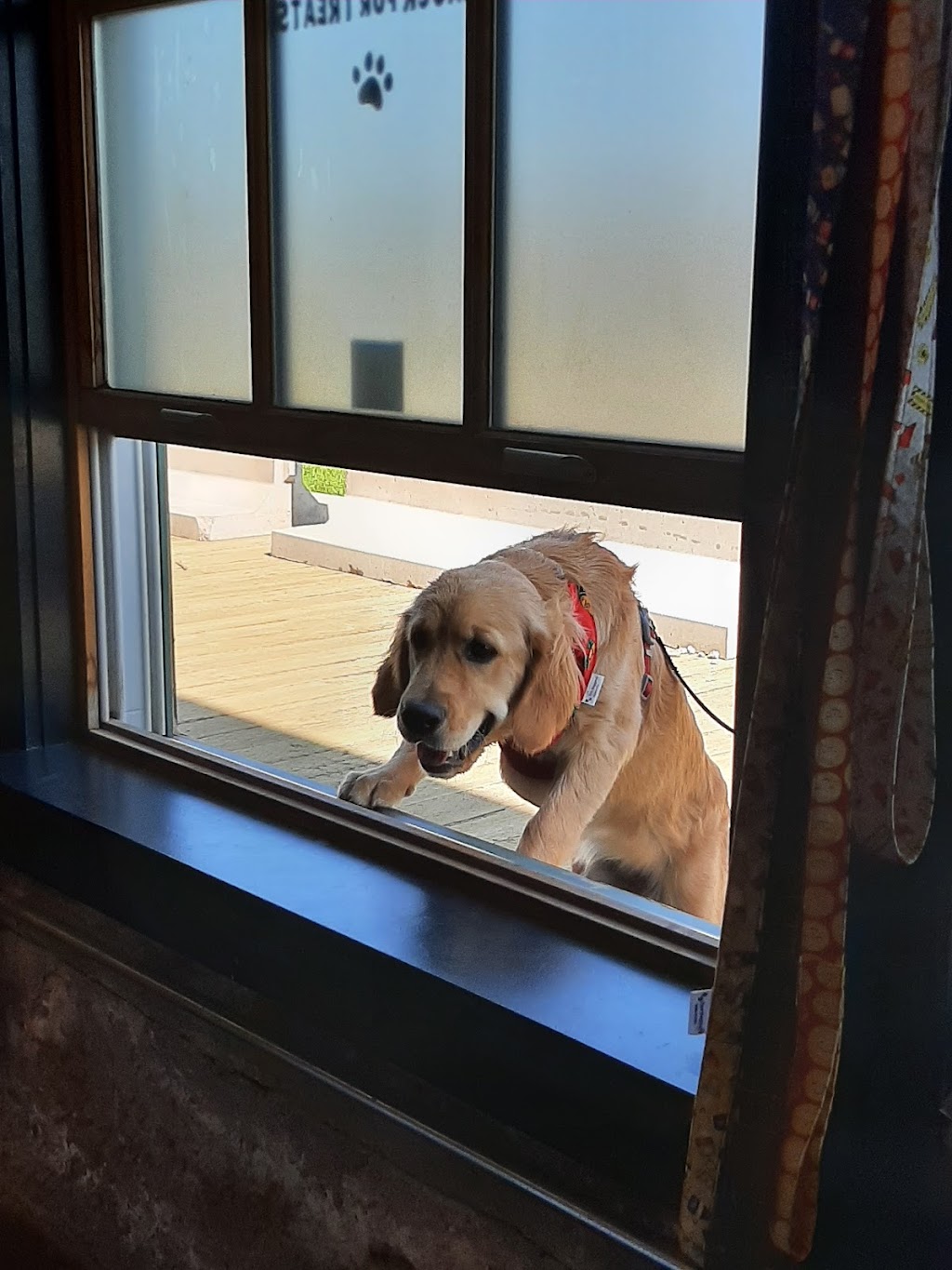 Two Beggars | 6 Prince St, Charlottetown, PE C1A 4P5, Canada | Phone: (902) 978-0309