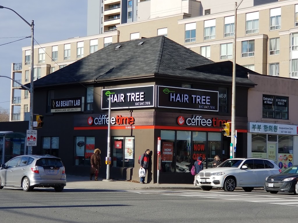 Hair tree | hair care | 5926 Yonge St, North York, ON M2M 3V9, Canada | 6478477816 OR +1 647-847-7816
