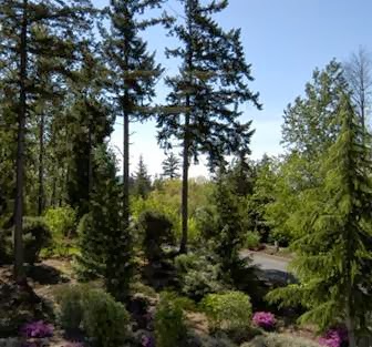 The Willows - A LifeMinded Residence - Bellingham Retirement Com | 3115 Squalicum Pkwy, Bellingham, WA 98225, USA | Phone: (360) 671-7077