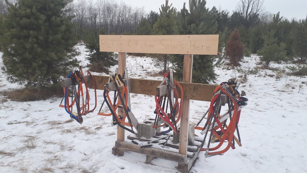 Timber Trails Tree Farm | 35101 Rd 28N, Steinbach, MB R5G 1S5, Canada | Phone: (204) 434-9812