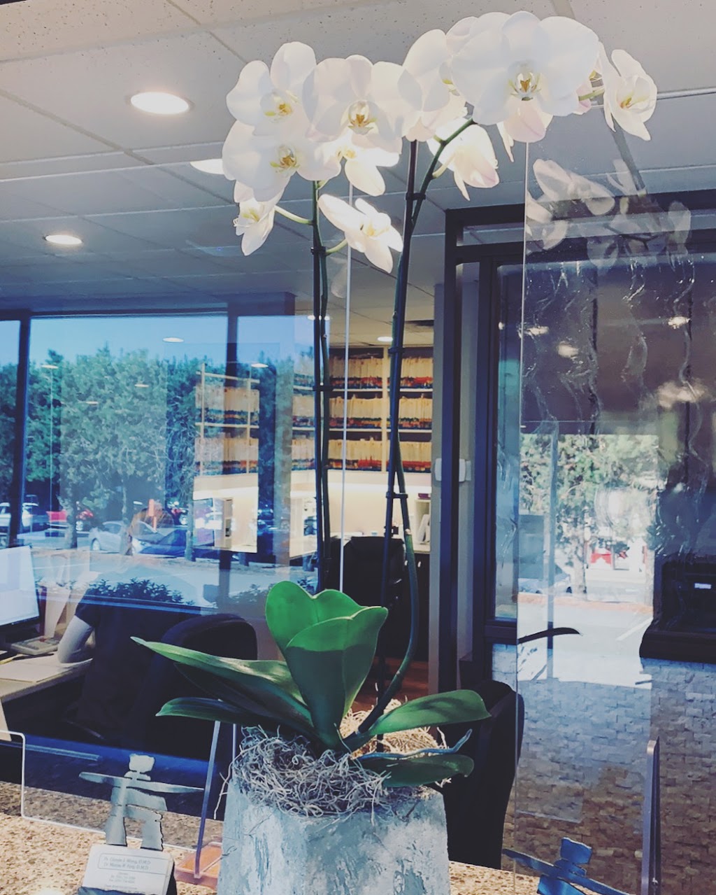 Dr. Danielle Micacchi Chase River Dental | Dental Centre, 51 Tenth St, Nanaimo, BC V9R 6R6, Canada | Phone: (250) 716-3388