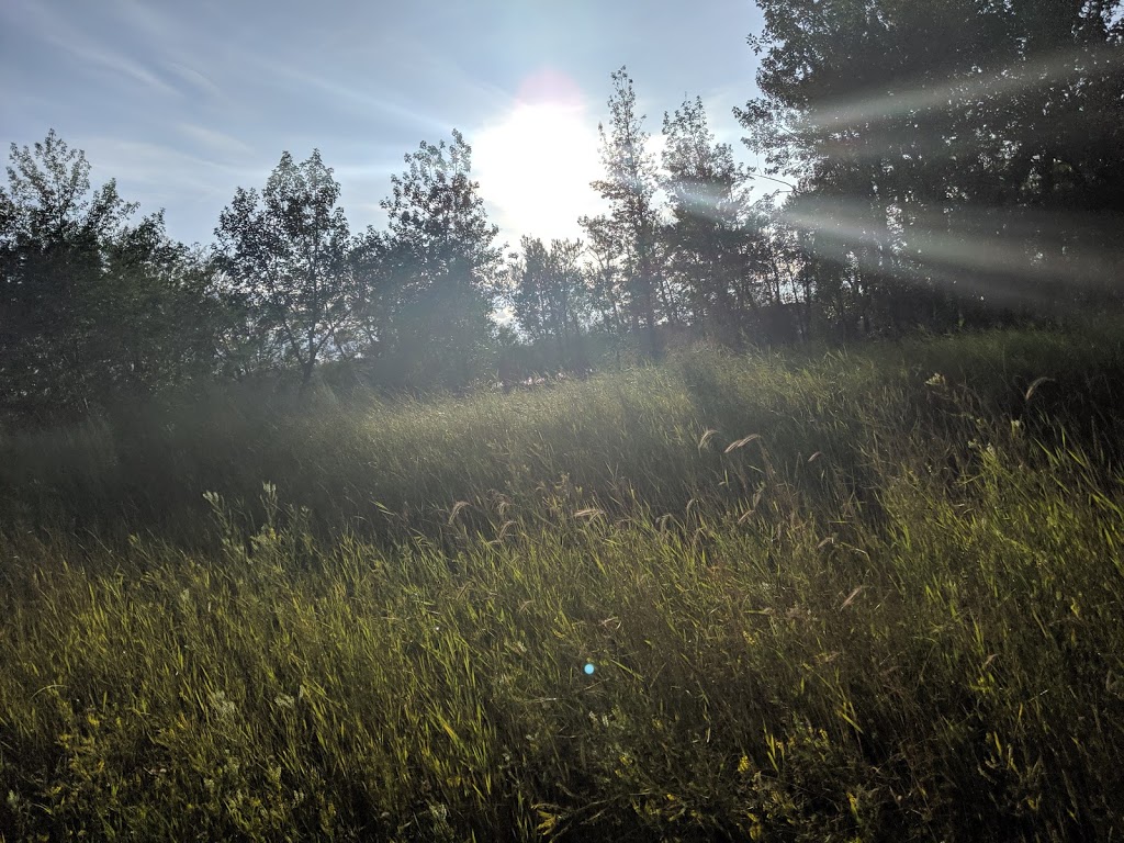 Old Refinery Park | 4687 Barlow Trail SE, Calgary, AB T2B 3T6, Canada | Phone: (403) 268-2489