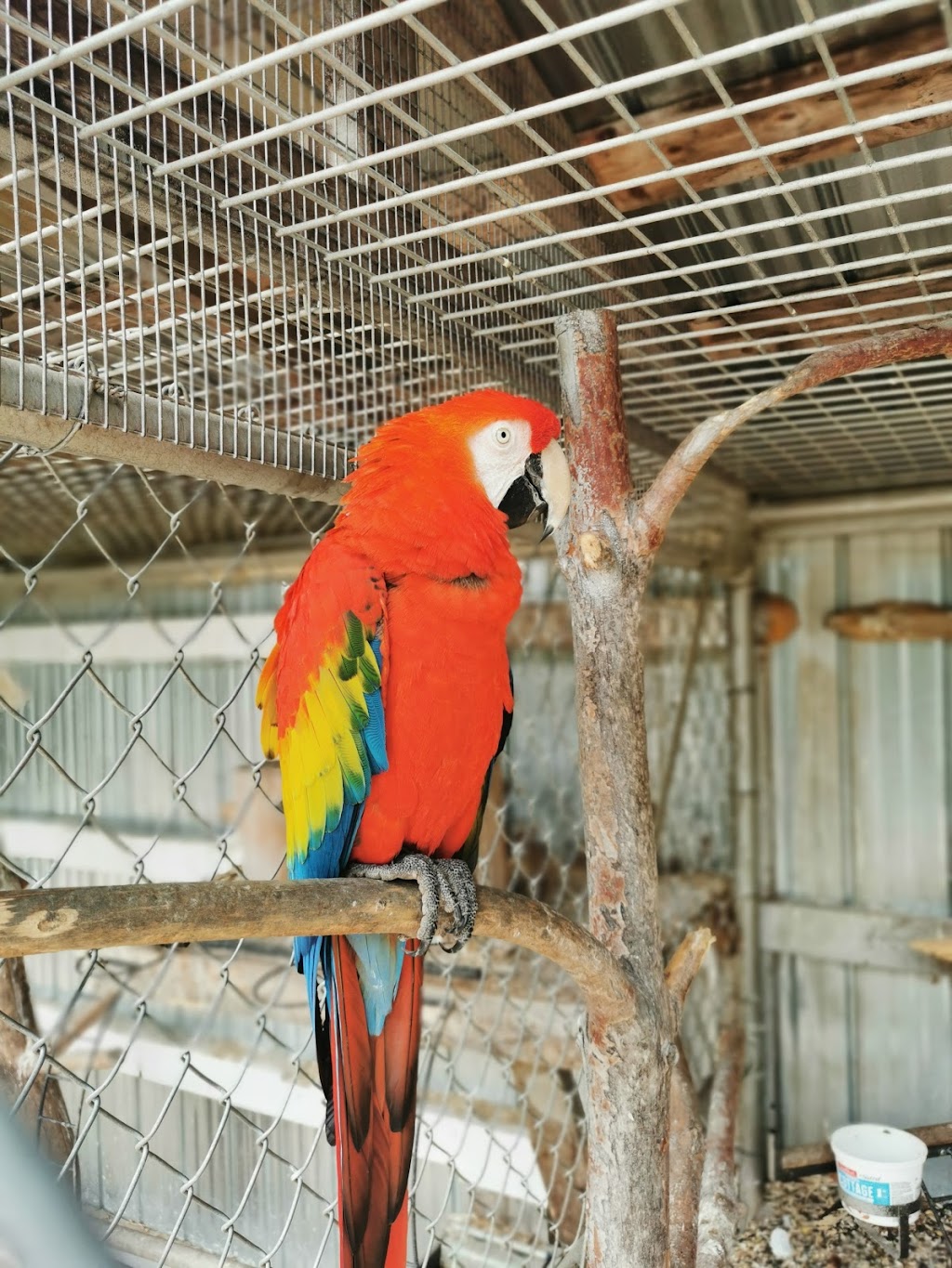 Zoo Falardeau | 309 2e Rang, Le Fjord-du-Saguenay, QC G0V 1C0, Canada | Phone: (418) 673-4602