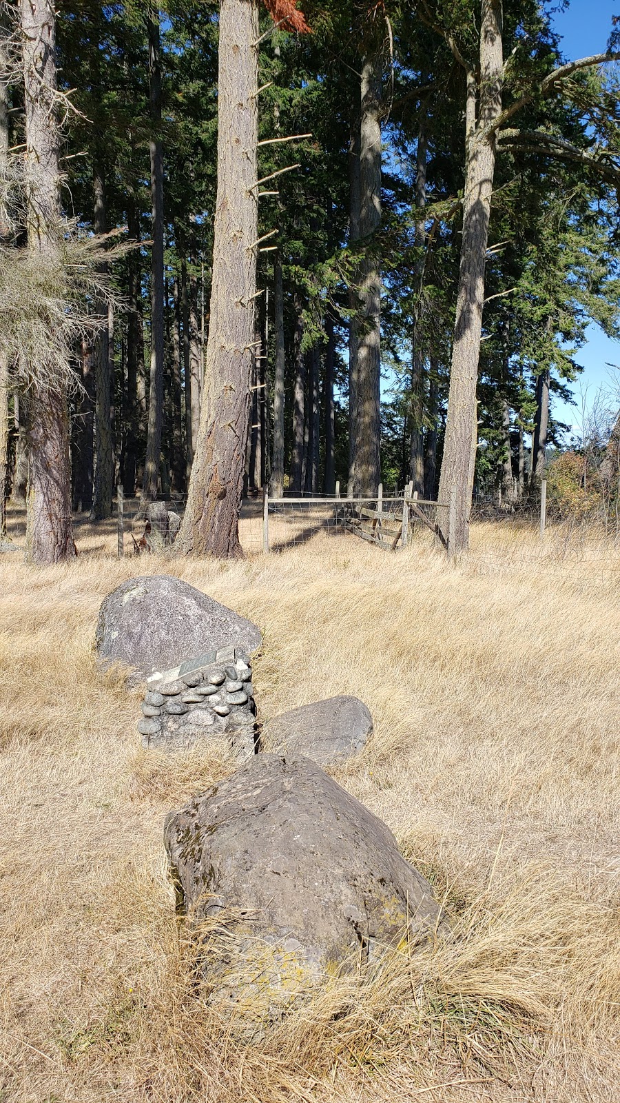 Sea Bluff Farm | 565 Wootton Rd, Victoria, BC V9C 3Z4, Canada | Phone: (250) 479-8273