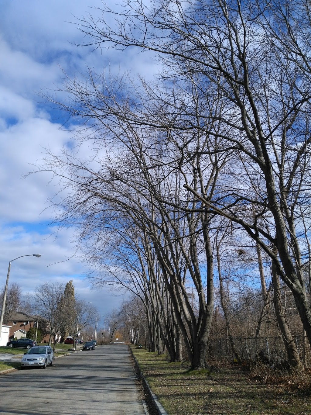Eastview Park | 33 Coronation Dr, Scarborough, ON M1E 2H2, Canada