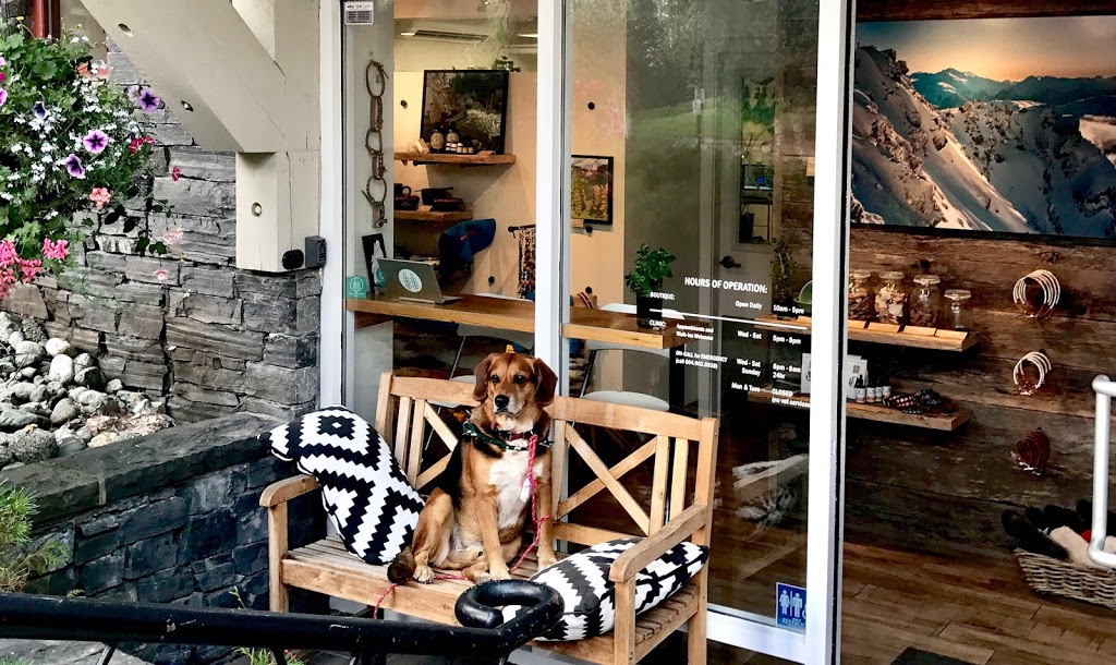 Twin Trees Veterinary Clinic | 106-2067 Lake Placid Rd, Whistler, BC V0N 1B2, Canada | Phone: (604) 962-0838