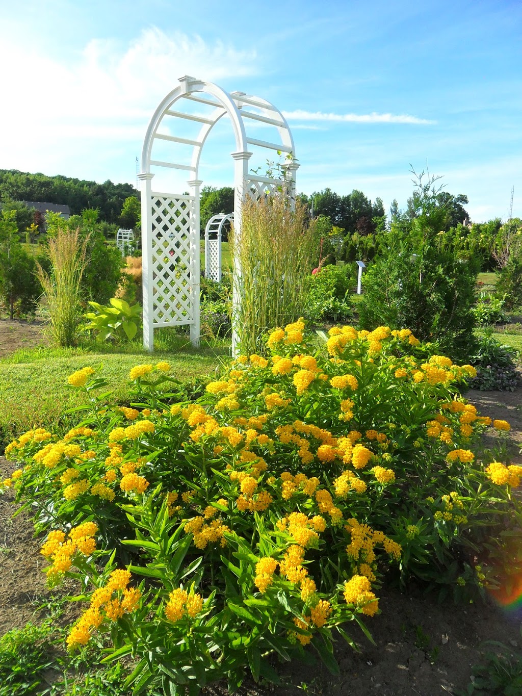 Quinte Botanical Gardens | 664 Glen Ross Rd, Frankford, ON K0K 2C0, Canada | Phone: (613) 398-0402