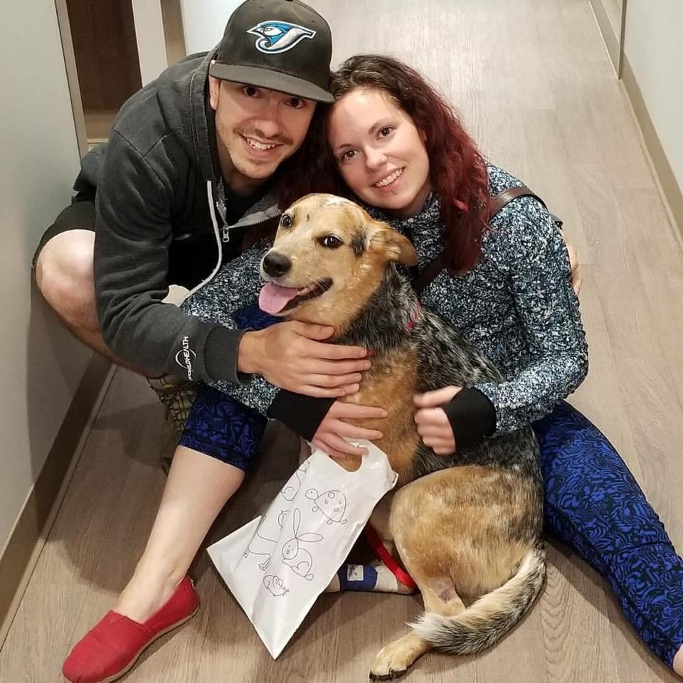 Bridgwater Veterinary Hospital & Wellness Center | 100-350 North Town Road, Winnipeg, MB R3Y 0Y4, Canada | Phone: (204) 452-0911