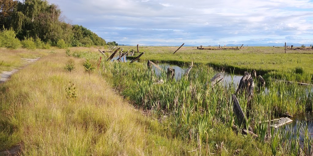 Grauer Lands | Richmond, BC, Canada
