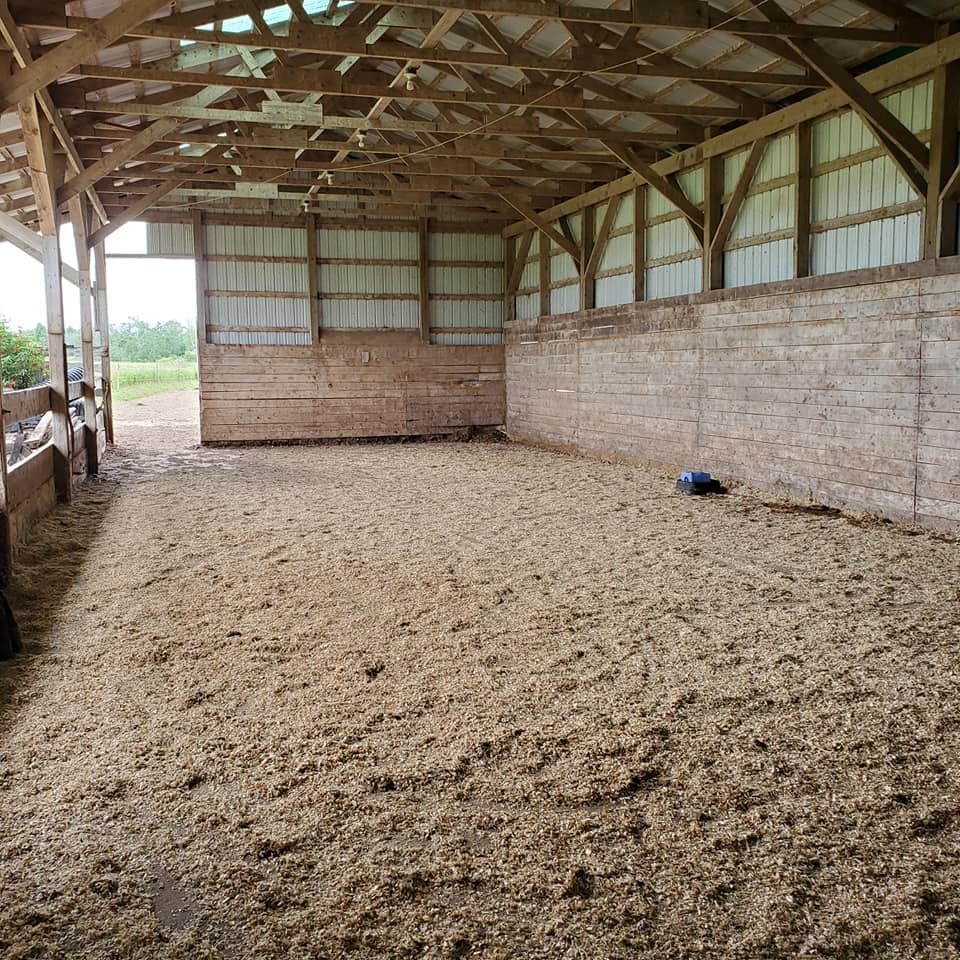 Willow & Withers Stables | 1575 Middle Dyke Rd, Centreville, NS B0P 1J0, Canada | Phone: (902) 483-4811