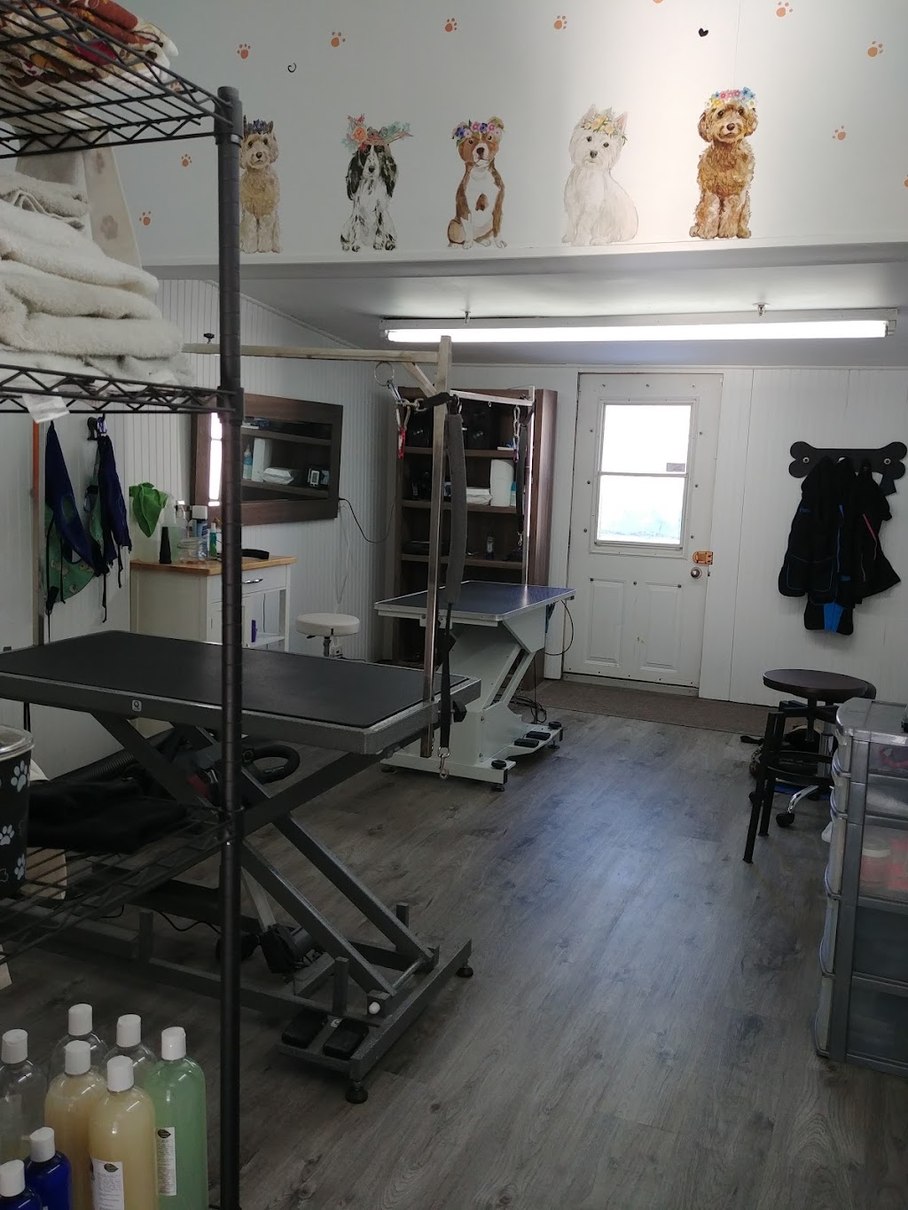 La Bichonnerie Toilettage | 344 2e Avenue, Saint-Jean-sur-Richelieu, QC J2X 2B6, Canada | Phone: (450) 895-9373