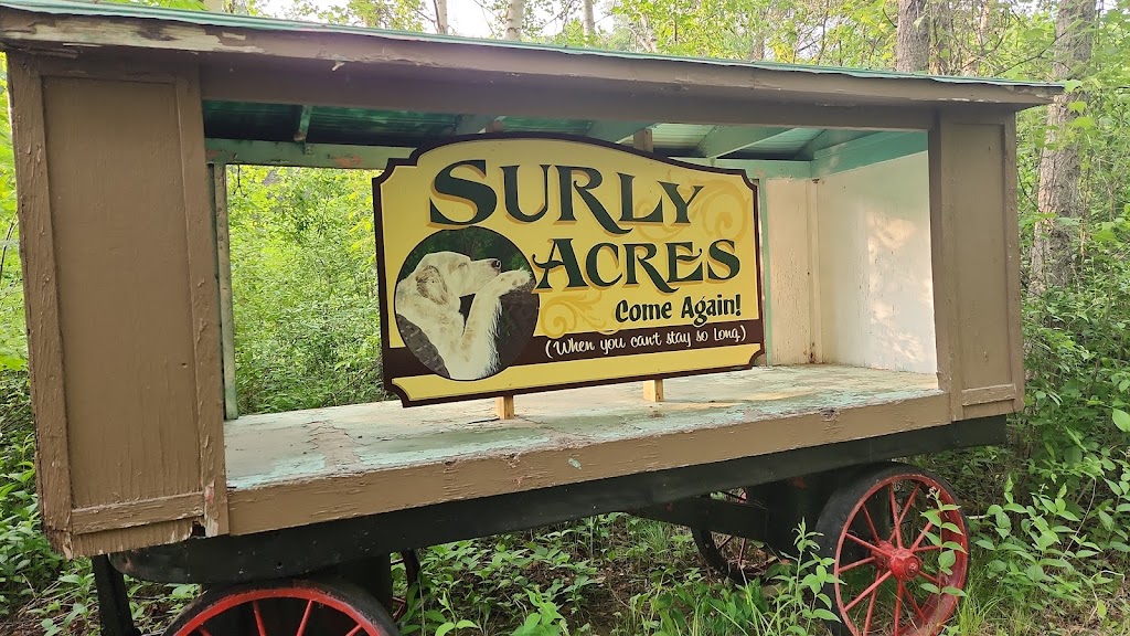 Surly Acres. | Godolphin Rd, Trent Hills, ON K0L 1Z0, Canada | Phone: (416) 300-2245