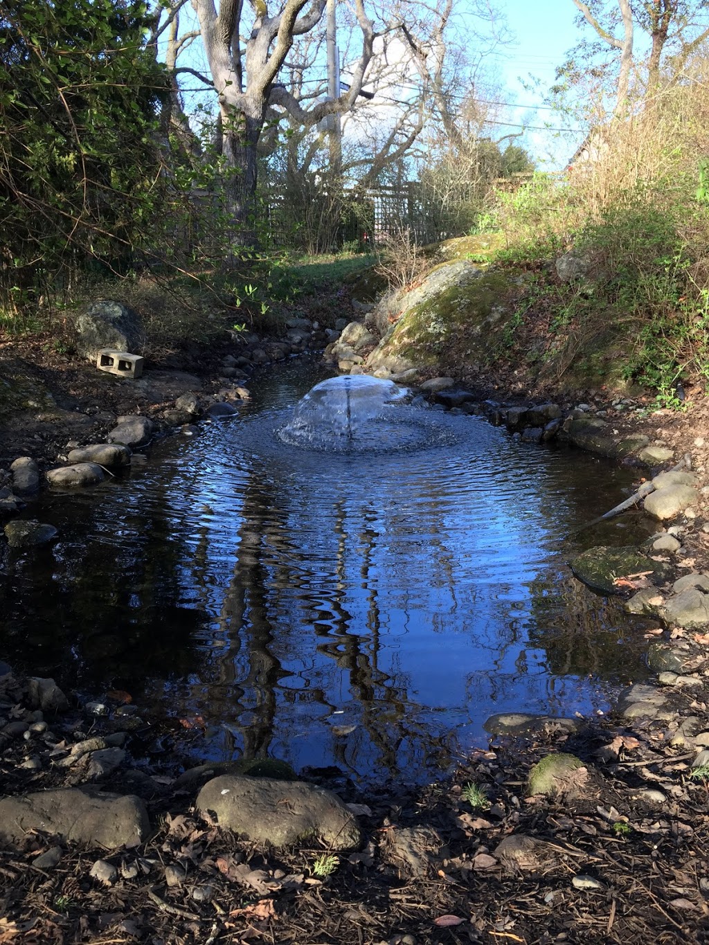 Oak Bay Native Plant Garden | 1178 Beach Dr, Victoria, BC V8S 3A8, Canada | Phone: (250) 592-7275