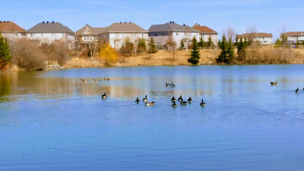Half Moon Bay Park | 3525 Cambrian Rd, Nepean, ON K2J 0V1, Canada | Phone: (613) 580-2400