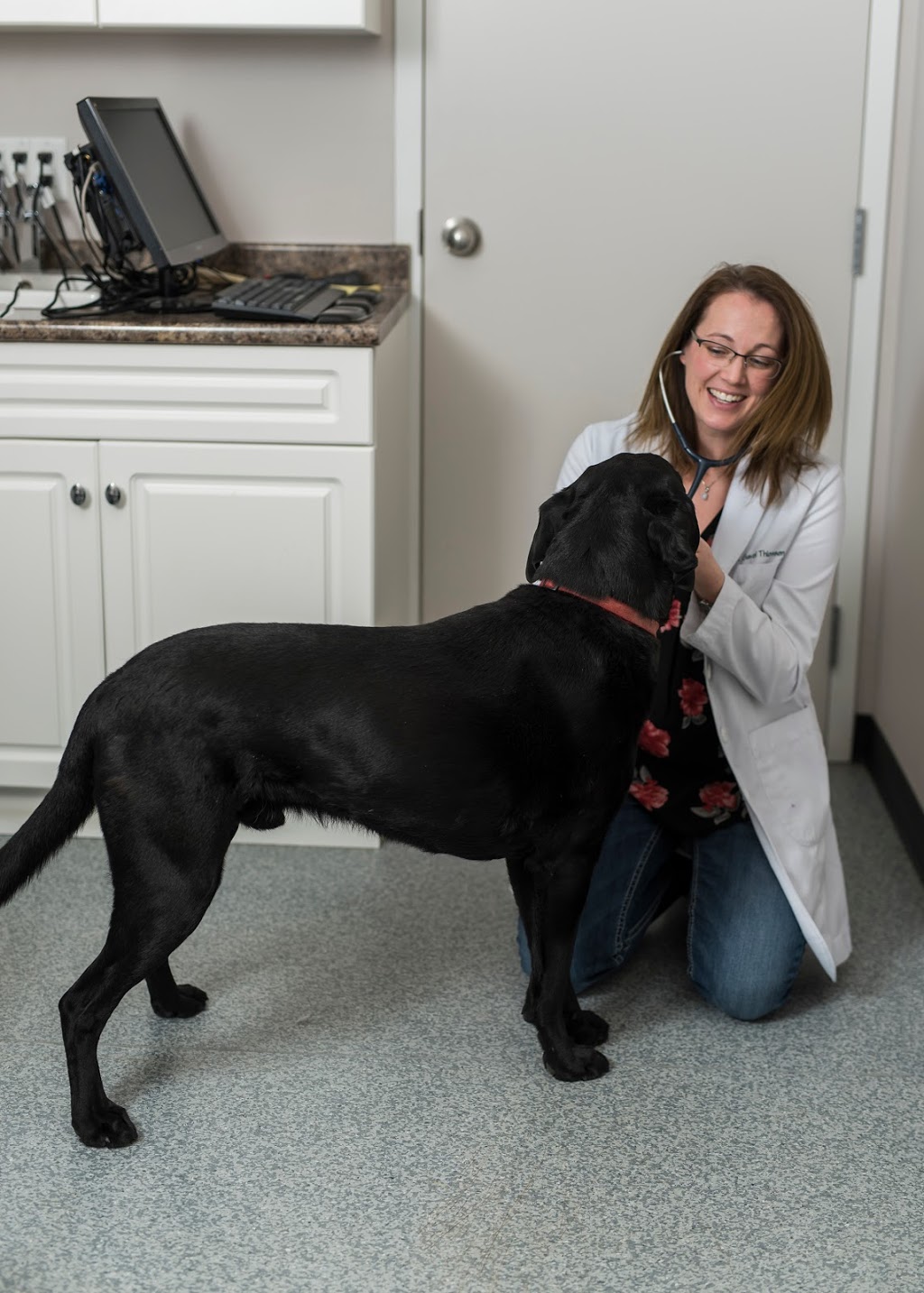 Highview Animal Clinic Ltd | 1104 18 St SE, High River, AB T1V 2A6, Canada | Phone: (403) 652-1300