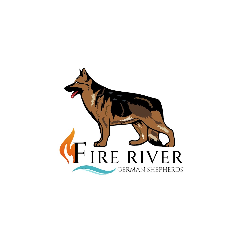 Fire River German Shepherds | Route 116 Upper, Rexton, NB E4W 3C5, Canada | Phone: (506) 899-2350
