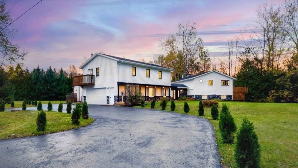 CatKing Cat Resort Cattery | 20 Hillview Crescent, Midhurst, ON L0L 1X0, Canada | Phone: (647) 502-7920